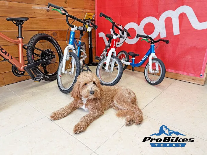 Pro Bikes Texas Picture 2