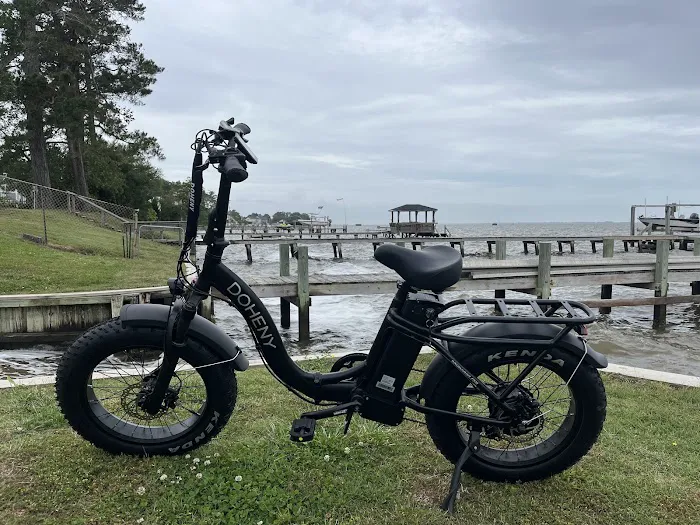 Doheny Electric Bike Picture 1