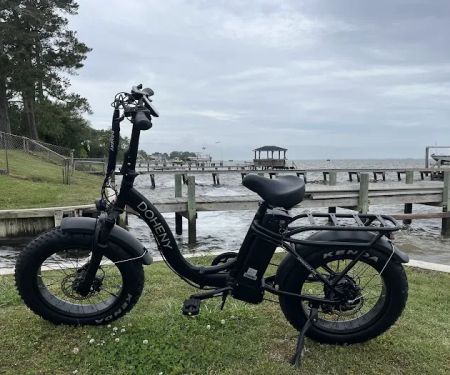Doheny Electric Bike