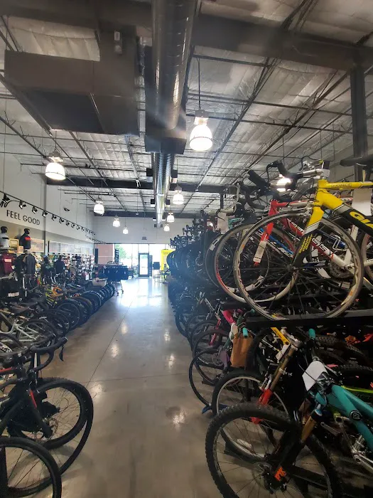 Trek Bicycle Cypress Picture 1