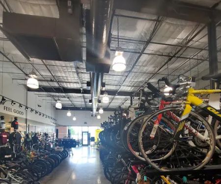 Trek Bicycle Cypress