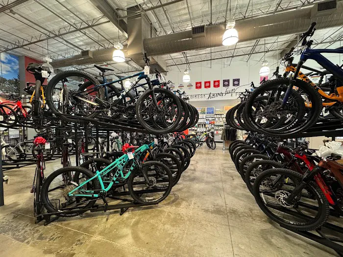 Trek Bicycle Cypress Picture 5
