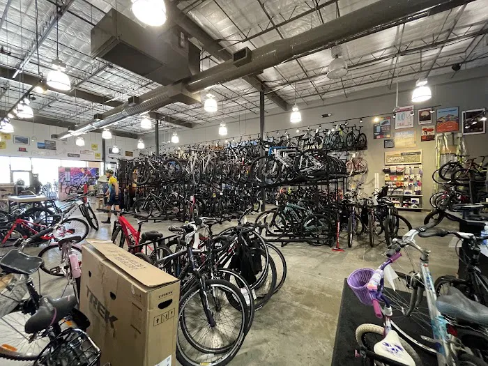 Trek Bicycle Cypress Picture 9