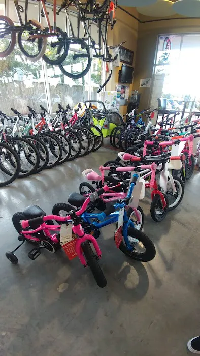 Trek Bicycle Champions Picture 3