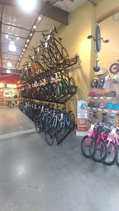 Trek Bicycle Champions Picture 9
