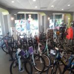 Bay Area Cycling - League City
