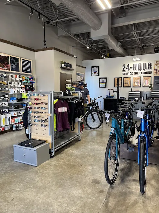 Trek Bicycle Sugar Land Picture 3