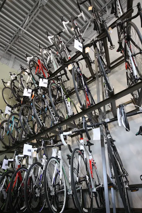Trek Bicycle Sugar Land Picture 10