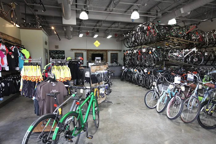 Trek Bicycle Sugar Land Picture 8