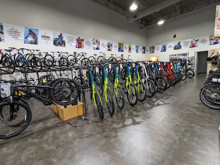 Trek Bicycle Katy Picture 4