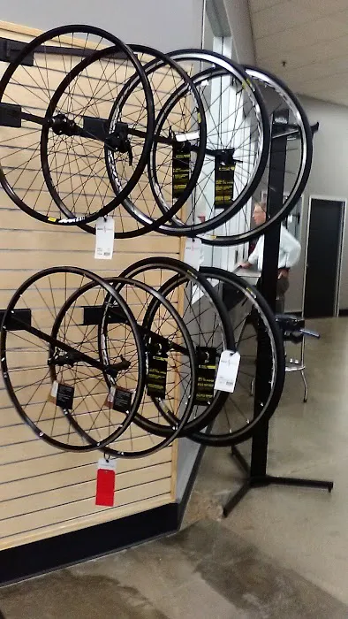 Trek Bicycle Katy Picture 3