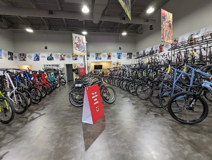 Trek Bicycle Katy Picture 1