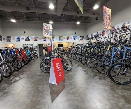 Trek Bicycle Katy