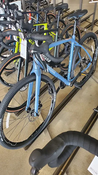 Trek Bicycle Katy Picture 5