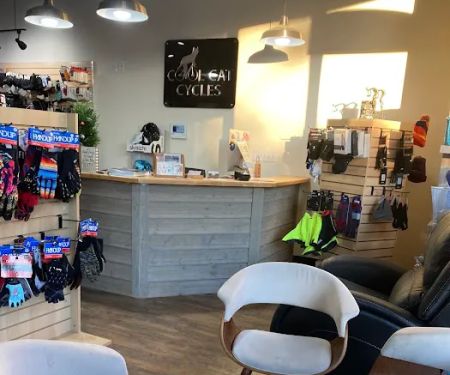 Cool Cat Cycles