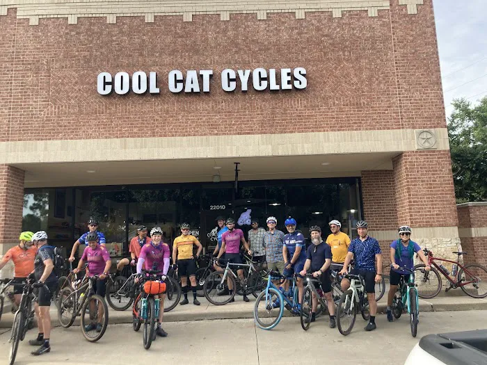 Cool Cat Cycles Picture 3