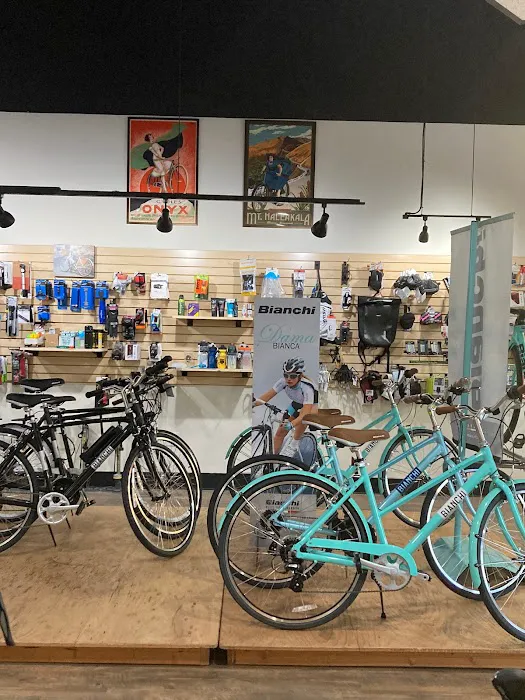 Cool Cat Cycles Picture 2