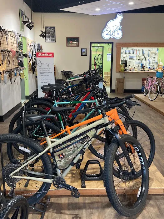 Cool Cat Cycles Picture 5