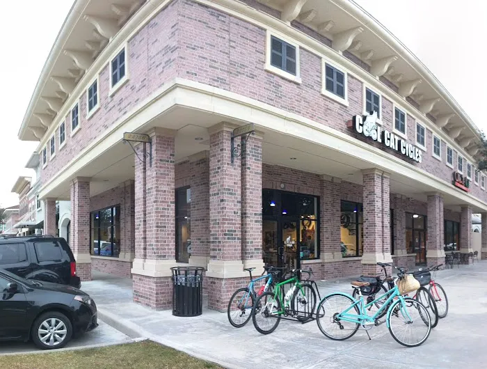 Cool Cat Cycles Picture 8