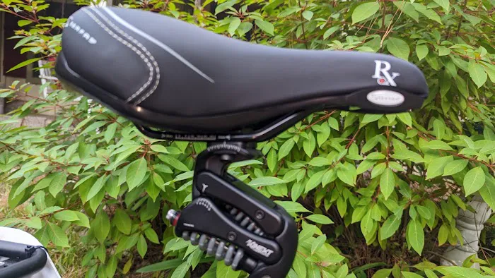 Pedego Electric Bikes Houston The Woodlands Picture 4