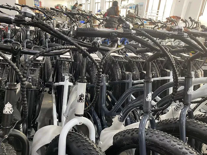 MAV Electric Bikes Picture 3