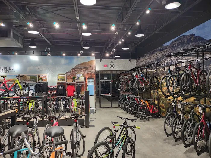 Trek Bicycle The Woodlands Picture 10