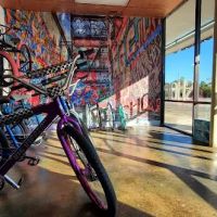 29ers Bike shop ico