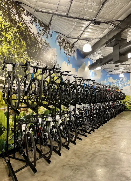 Trek Bicycle Kingwood Picture 2