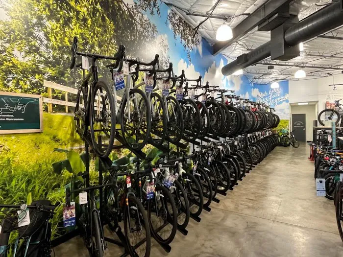 Trek Bicycle Kingwood Picture 8