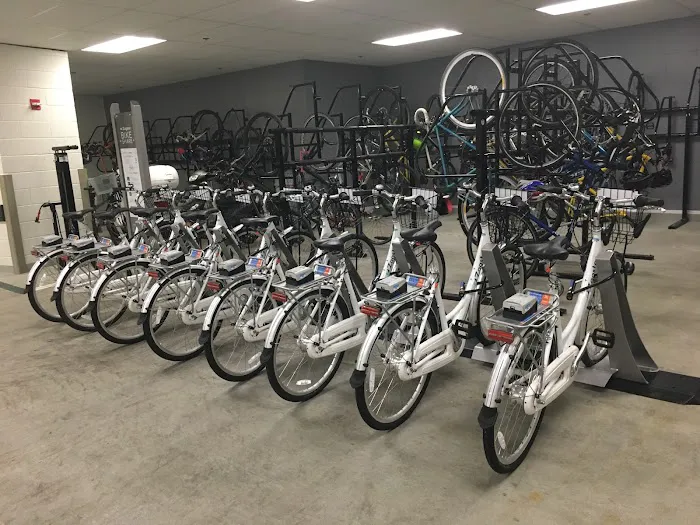3rd Coast Cycles: Mobile Bicycle Repair, Rental, Tours, and Sales Picture 3