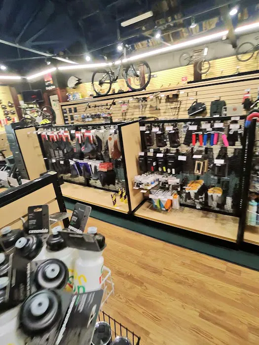Kozy's Cyclery - River North Picture 5