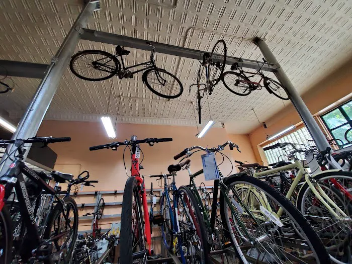 Cycle Bike Shop Picture 9