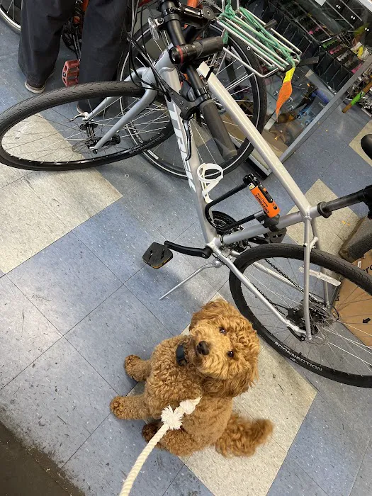 Irv's Bike Shop Picture 10