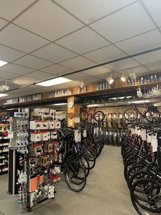 Village Cycle Center Picture 2