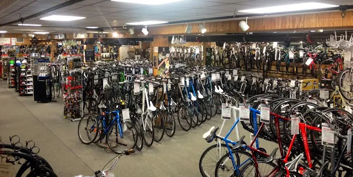 Village Cycle Center Picture 8