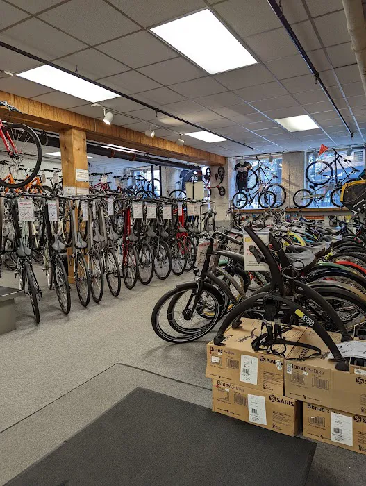 Village Cycle Center Picture 5