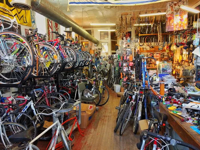 Yojimbo's Garage Picture 1