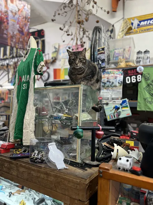 Yojimbo's Garage Picture 4