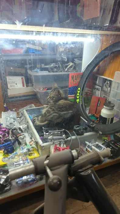 Yojimbo's Garage Picture 6