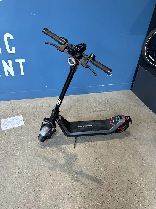 Electric Movement Picture 10