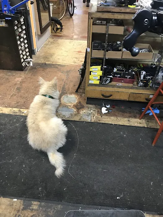 Small Shop Cycles & Service Picture 7