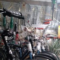 Sanchez Bike Shop, Inc #2 ico