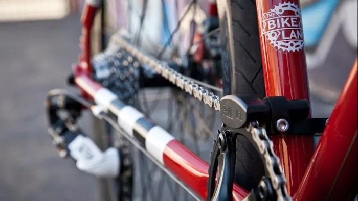 The Bike Lane Picture 3