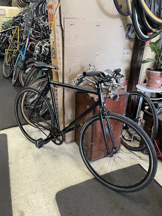 Nearly New Bicycles Picture 3