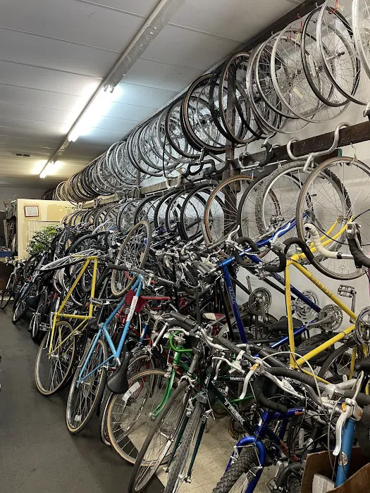Nearly New Bicycles Picture 6