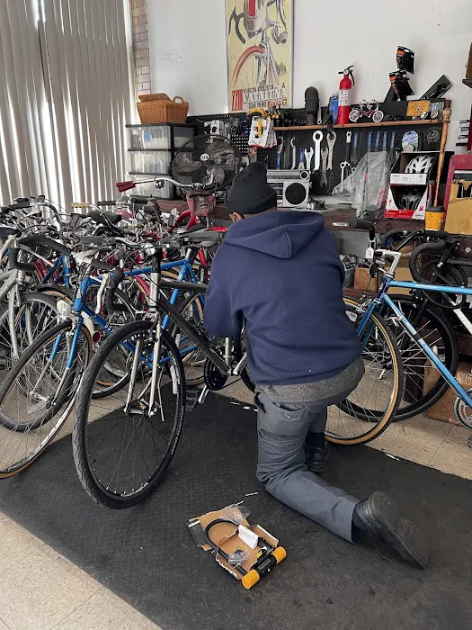Nearly New Bicycles Picture 8