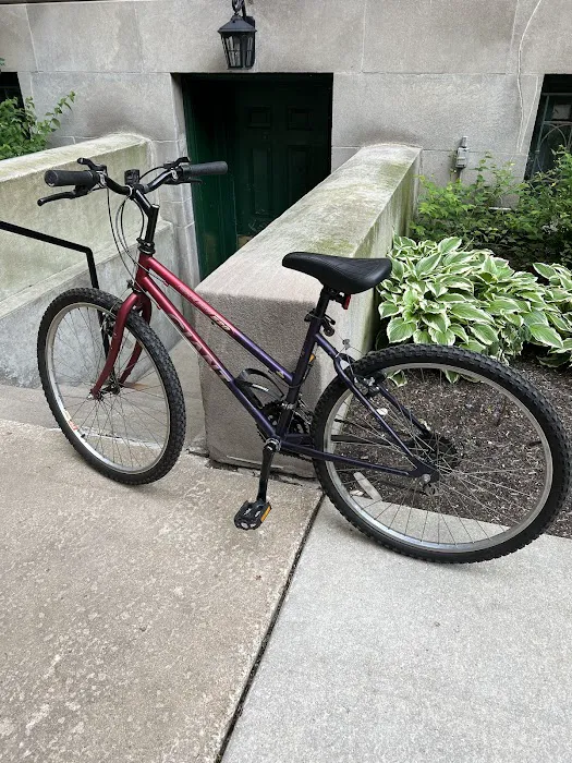 Nearly New Bicycles Picture 7