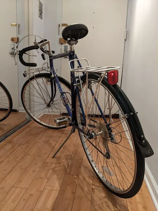 Nearly New Bicycles Picture 10
