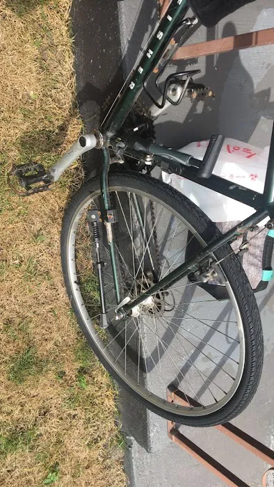 Carmen's Schwinn Picture 3