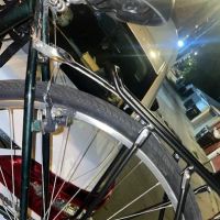 Carmen's Schwinn ico